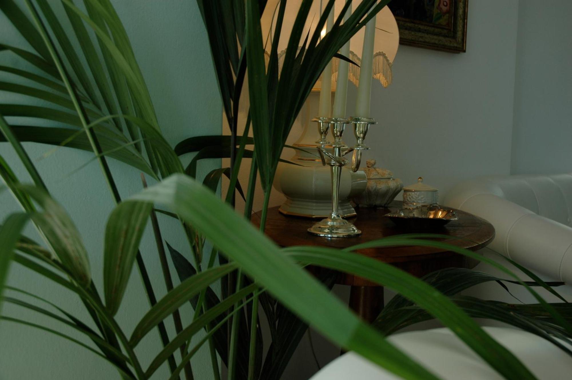Hotel Gradara 3*